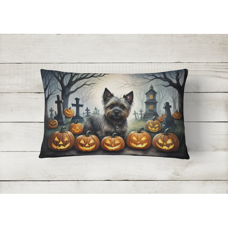 Other/No Pattern Outdoor Throw Pillow