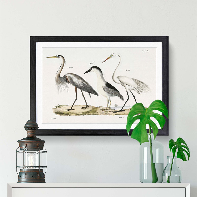 Three Herons by J.E. De Kay - Picture Frame Painting Print, 48cm H x 65cm W x 2cm D, Black Framed