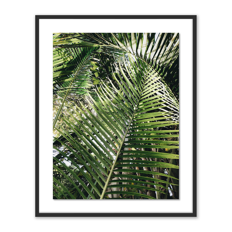 Palm I Print by Vitaliy Paykov, Black, 40" H x 32" W x 2.5" D