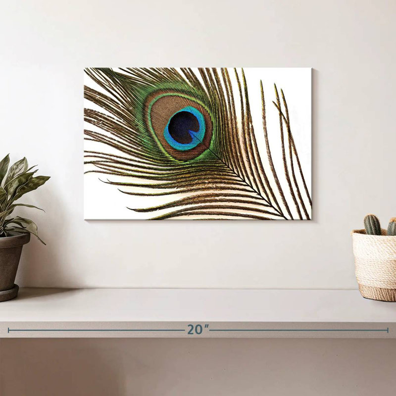 Brampt Peacock Feather