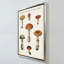 "Mushroom Chart III Light" par Wild Apple, reproduction sur toile tendue dans un cadre flottant-110965280-110965281