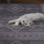 Tapis de couloir gris et ivoire 2 pi 6 po x 8 pi Maril-440036365