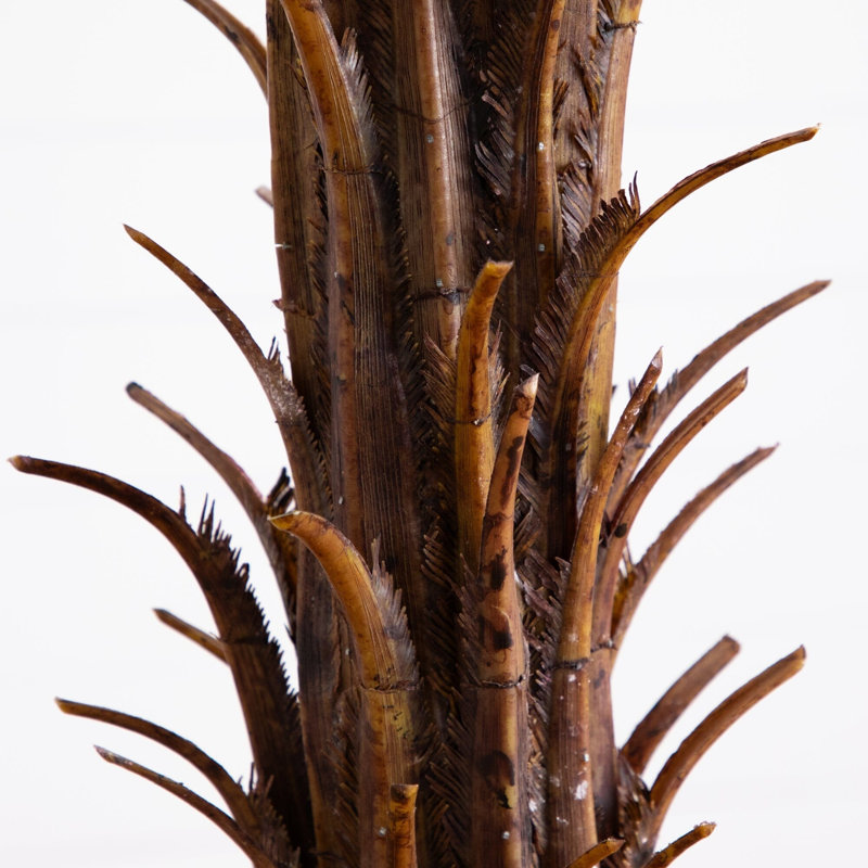 Robellini Artificial Palm Tree