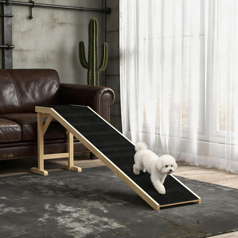 Rampe pratique pour animaux, rampe pour chien pour votre maison
