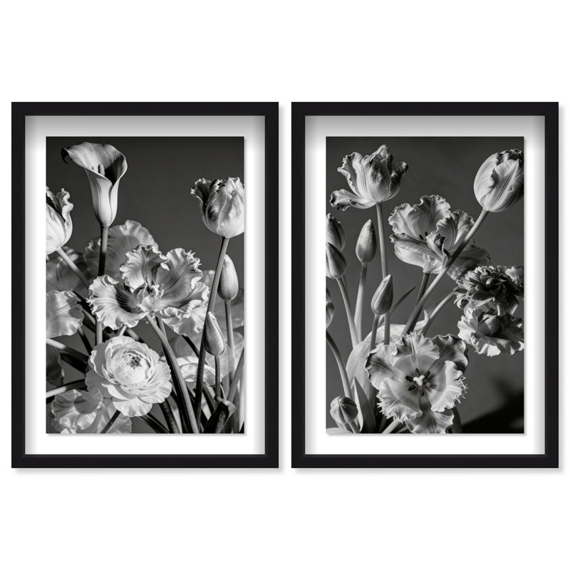 Botanique Noir Set Set by Oliver Gal, Black Shadowbox, 21.5"H x 31.5"W