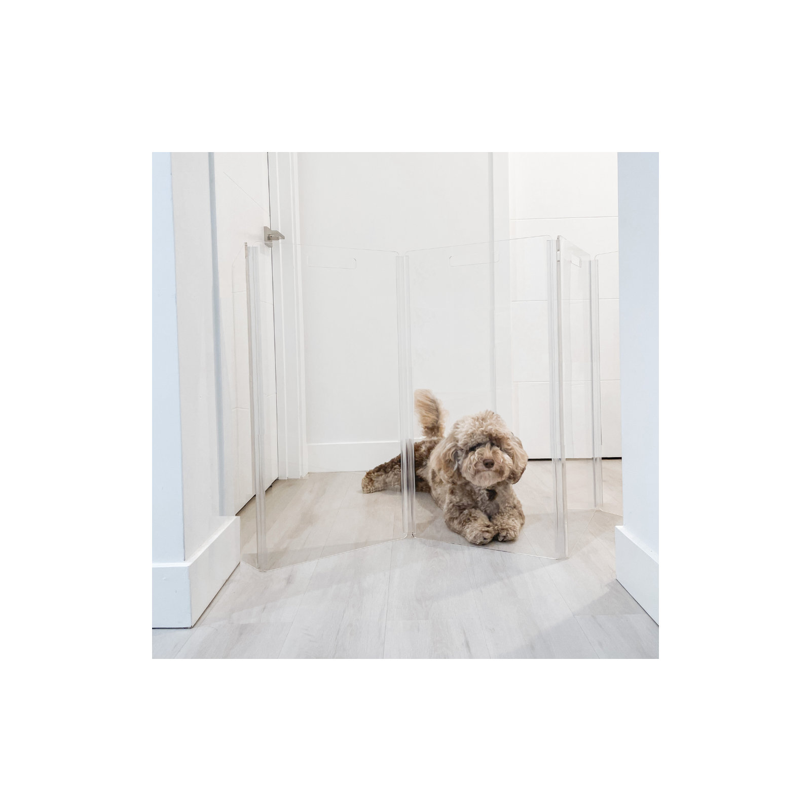 Tall Zig Zag Clear Pet Gate, 8-Panel