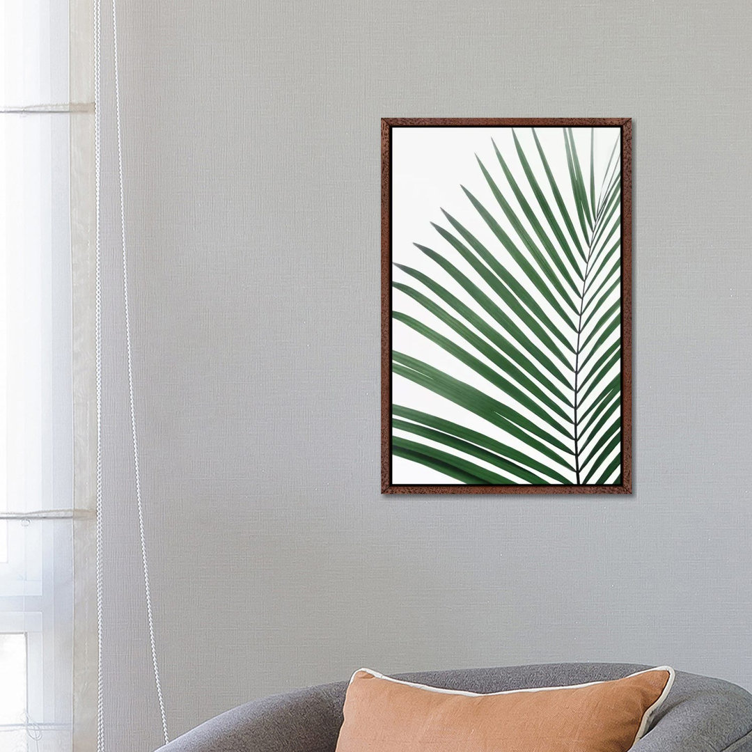 Paml Leaf von Sisi & Seb - Gallery-Wrapped Canvas Giclée on Canvas