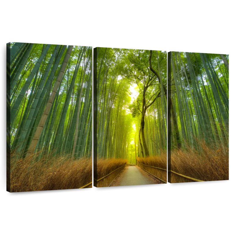 Forêt de bambous Harnek à Arashiyama, H 24 po x l 38 po
