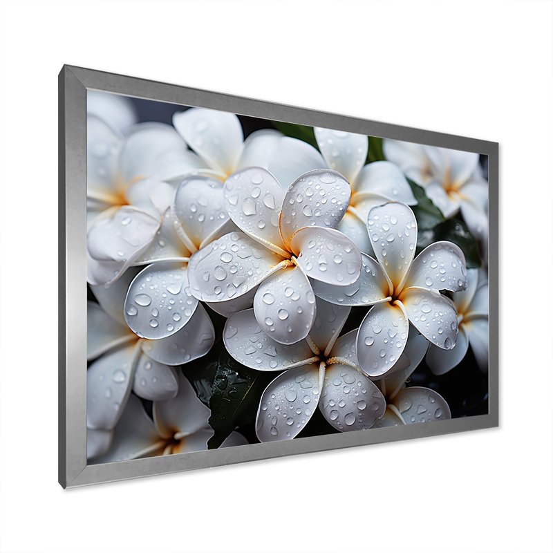 Plumeria pluvieux paradis sur toile, Cadre photo argenté, H 34 po x l 44 po x P 1,5 po