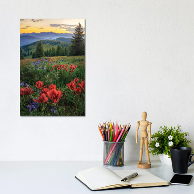 Summer Wildflower Landscape - White River National Forest Colorado Sunset by Daniel Forster - Gallery-Wrapped Canvas Giclée on Canvas