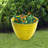 Indoor/Outdoor Round Planter-1224369397-1246871186