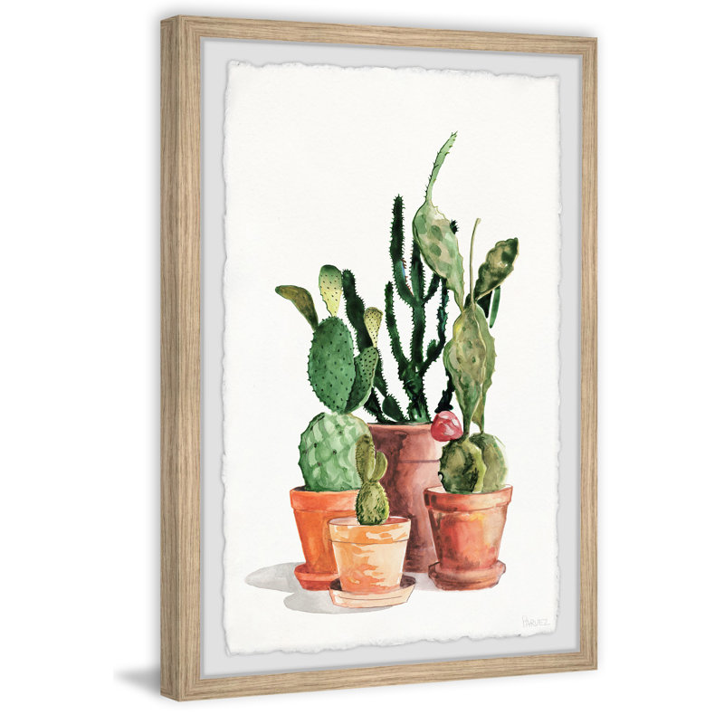 «Cactus Variété», reproduction encadrée, H 24 po x l 16 po x P 1,5 po