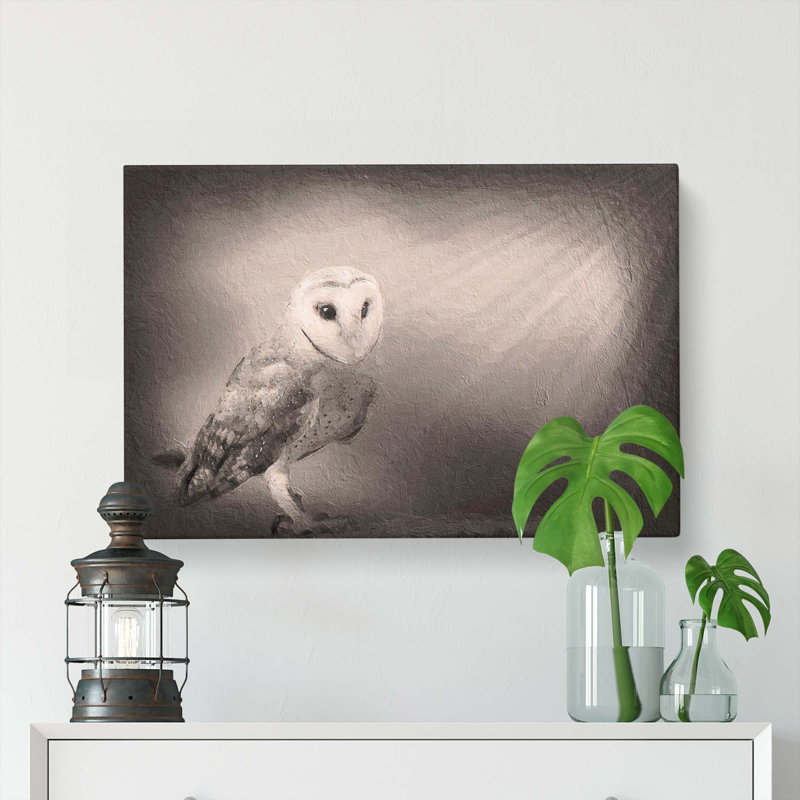 Light Upon The Barn Owl - Wrapped Canvas Painting, 35cm H x 50cm W x 3cm D