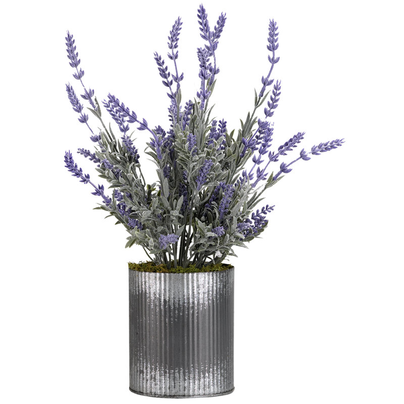 Arrangement floral lavande en pot