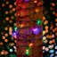 Guirlande lumineuse 50 lumières-960685579