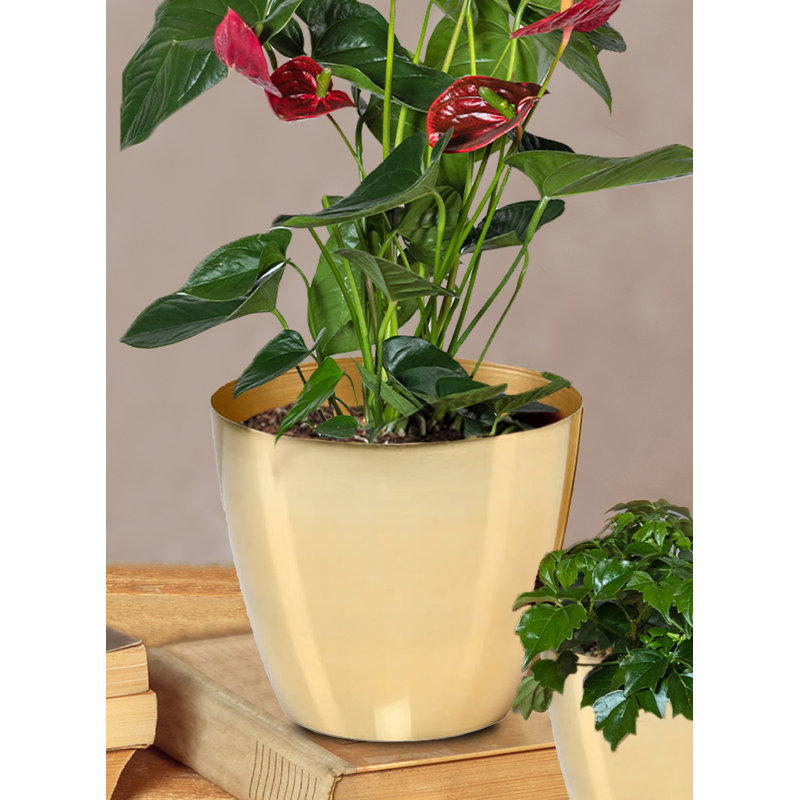 Dawoud Metal Cachepot, 4, Gold