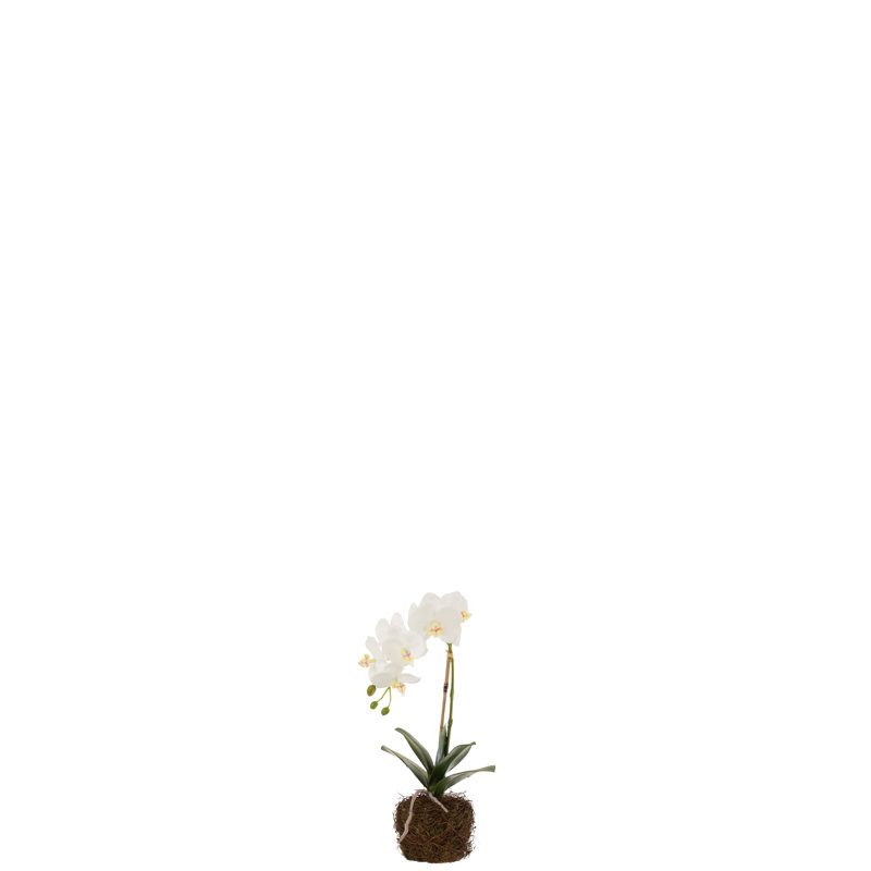 40 cm H Faux Plant
