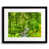 Black Framed Paper selected