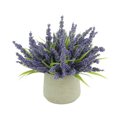 Heather Arrangement in Pot
