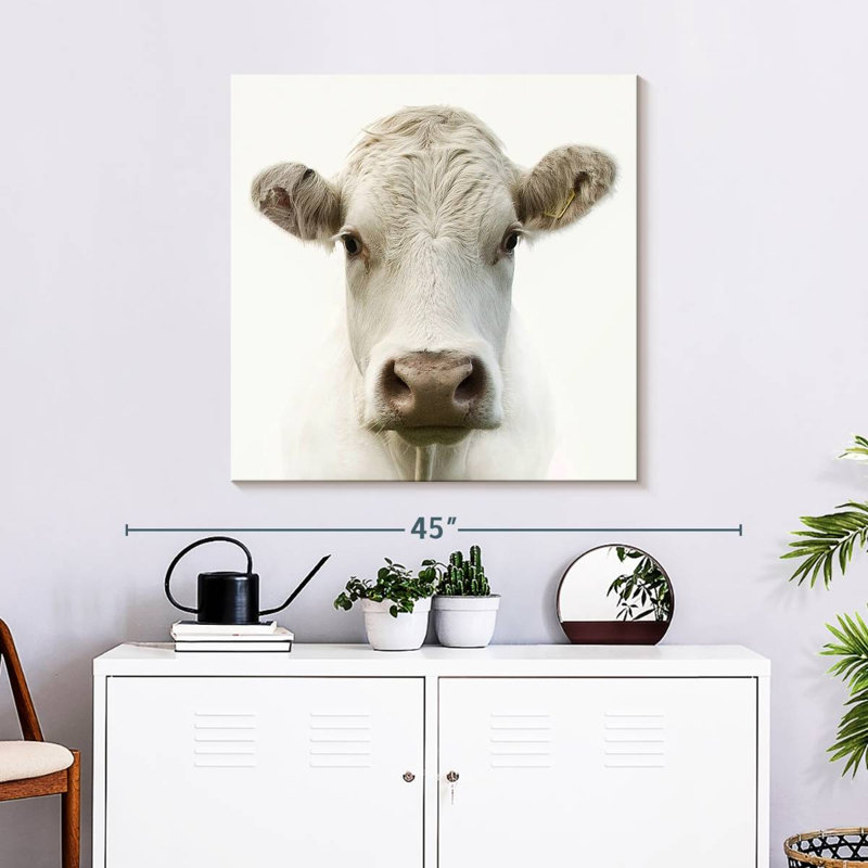 Charolais Cow, 30" H x 30" W