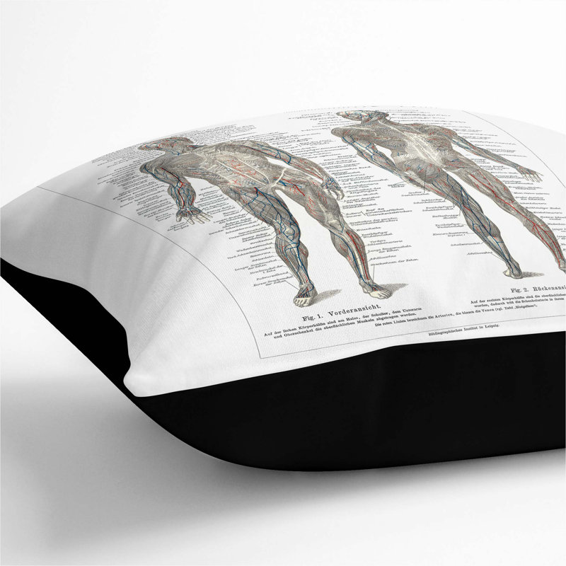 Square Throw Cushion, 55cm H x 55cm W x 20cm D, Black