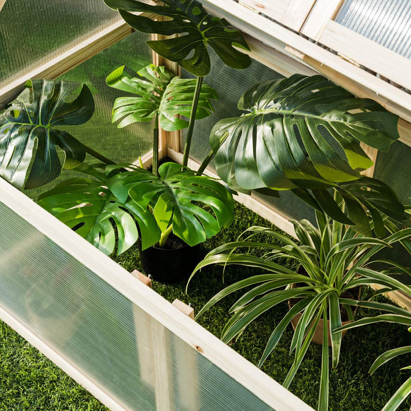 Walburg 3 Ft W x 2 Ft D Mini Greenhouse