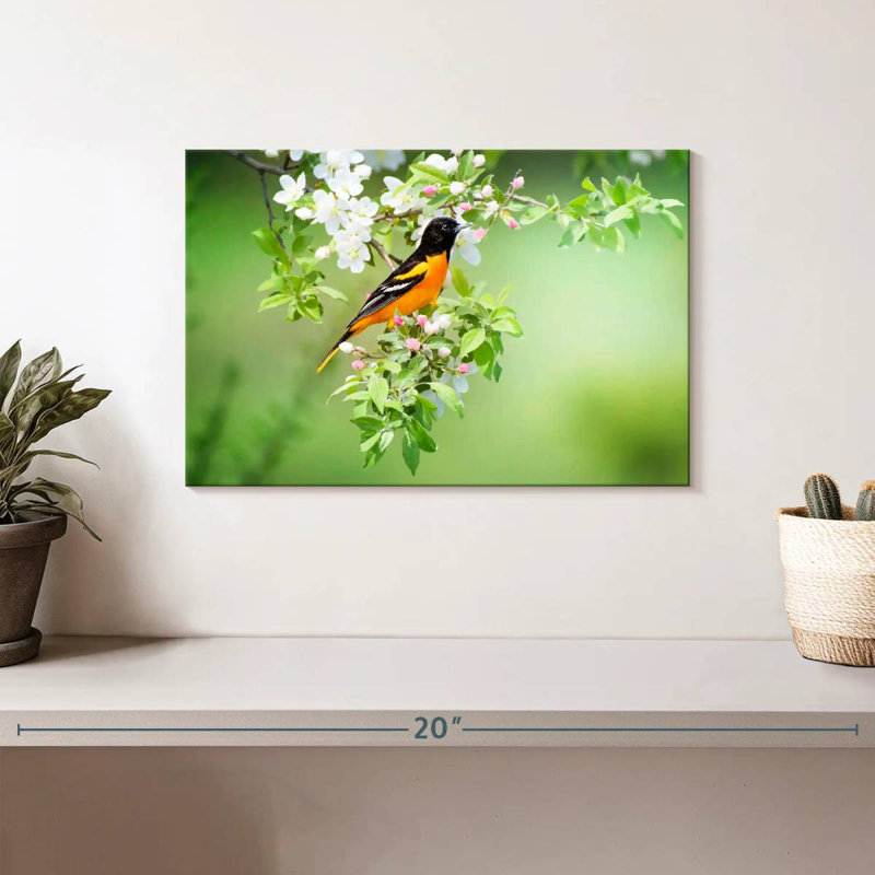 Brampt Oriole, 8" H x 12" W