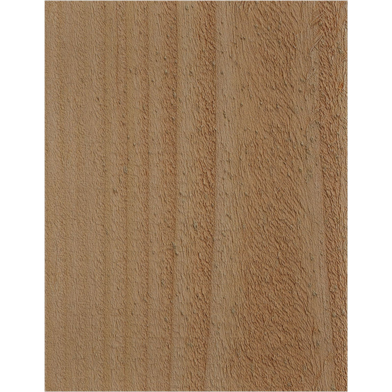 Yorktown, Sapin de Douglas, 8"H x 6"W x 18"L