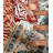 Oriental Tiger Print with Floral Machine Washable Area Rug-116466007