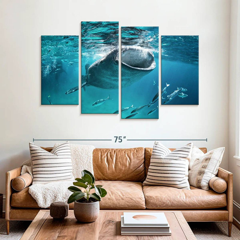 Requin-baleine Brampt