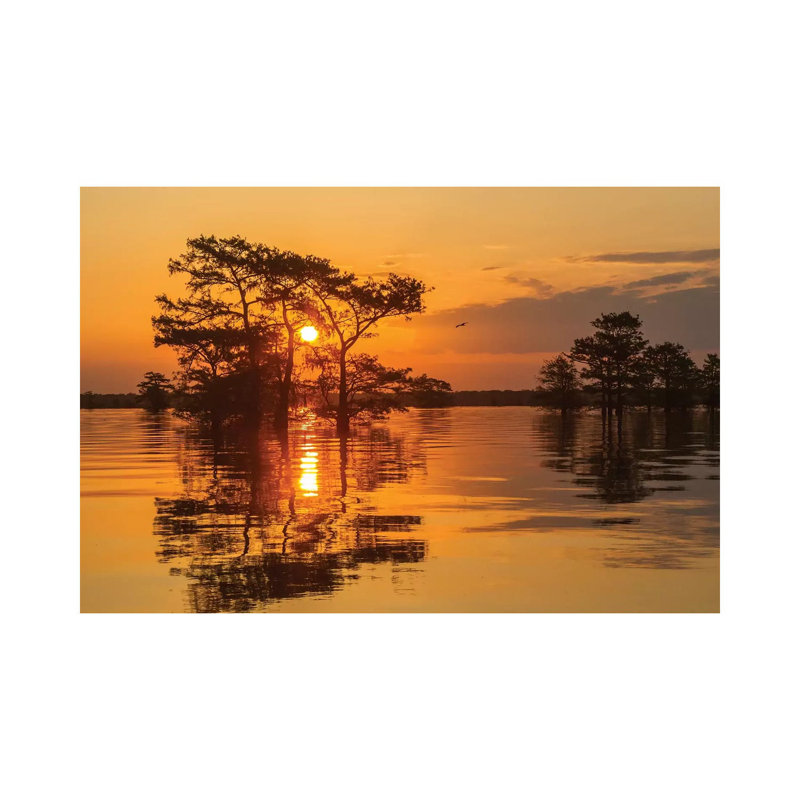 USA, Louisiana, Atchafalaya National Wildlife Refuge. Sunrise On Swamp. by Jaynes Gallery - Wrapped Canvas Gallery-Wrapped Canvas Giclée