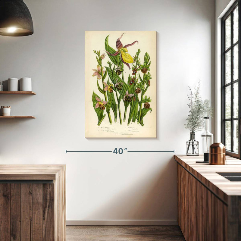 Orchidées sauvages Keiri, H 39 po x l 26 po
