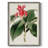 FloraOfTheTropicsI Framed Print - Solid Wood-672402831