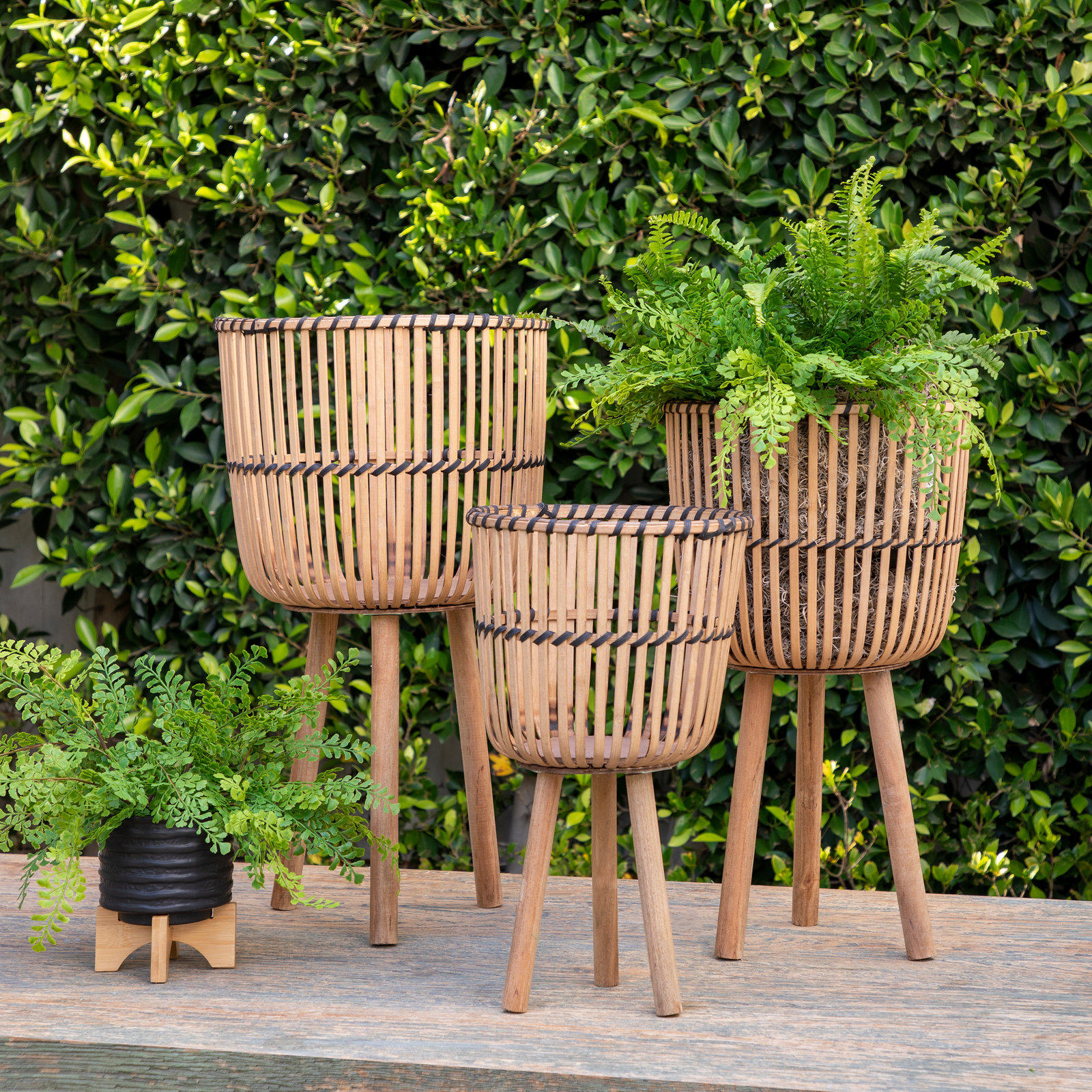 Corette 15" Pot Planter, Black, 26" H x 15" W x 15" D, Set of 3