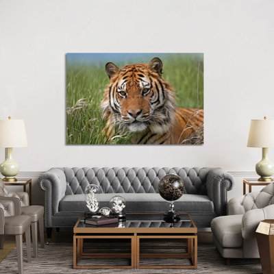 Siberian Tiger Portrait, Endangered, Native To Siberia II by Tim Fitzharris - Wrapped Canvas Print