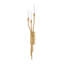 AMALTHEA Wall Sconce