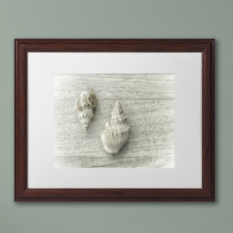 « two cancellara shells », reproduction de photo sur toile encadrée, H 11 po x l 14 po x P 0,5 po, Brun