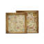 Ensemble de 2 plateaux gigognes carrés en bois d'acacia avec décorations botaniques