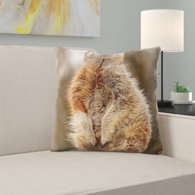 Coussin suricate