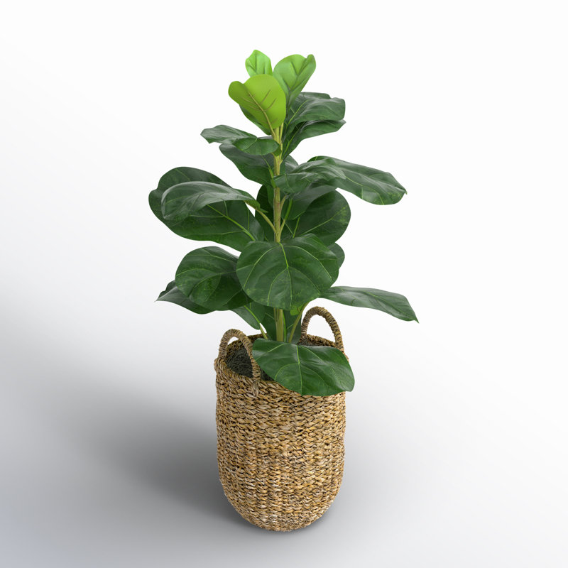 30'' Faux Fiddle Leaf Fig Tree in Wicker/Rattan Basket