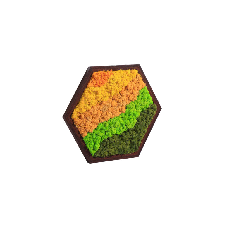 Ensemble d'art mural hexagonal modulaire en mousse (4 pièces)