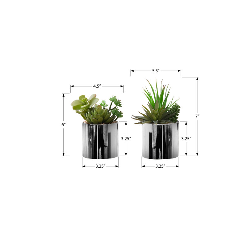 Plante artificielle, Blanc
