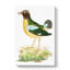 Green Crow by George Shaw - Wrapped Canvas Painting-55304064