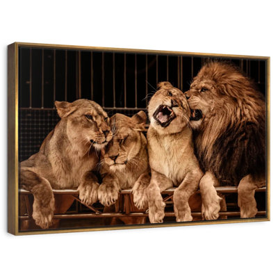 Fierté des lions