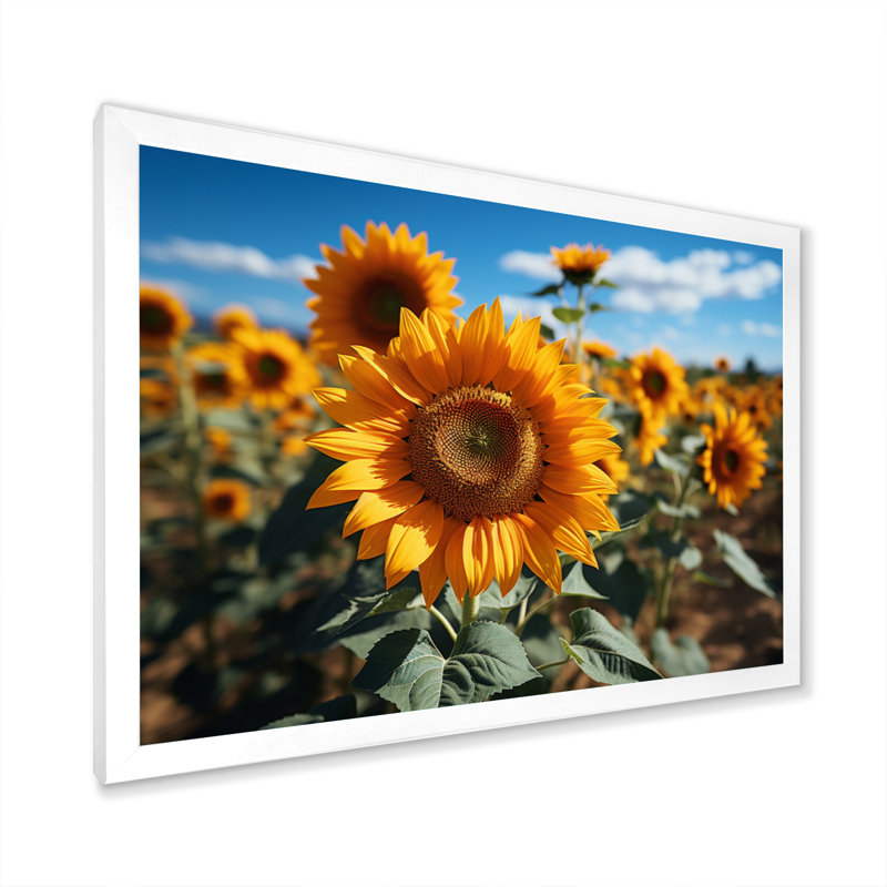 Tournesols jaune champ vibrant II, H 16 po x l 32 po x P 1 po, Cadre photo blanc