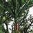 Artificial Topiary Tree 2-Set,5Ft Artificial Cedar Topiary Trees For Outdoor & Indoor Decor,Artificial Topiary Boxwood Tree, Faux Shrub Uv Protection For Longer Life