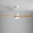 52'' Ceiling Fan With Lights And Remote Control-1679876732-1679876672