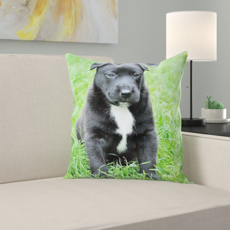 Coussin pour chien