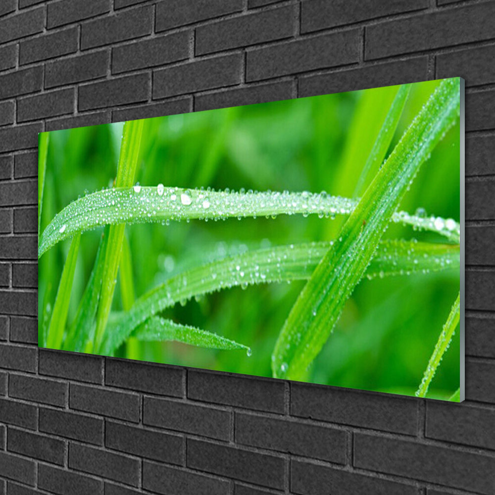 Glasbild Grass Nature