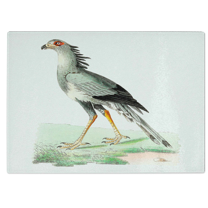 Tempered Glass African Snake-Eater Bird Chopping Board, 28.5 cm W x 20 cm L